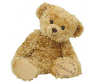 Photo of Teddy Bear